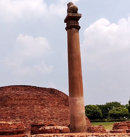 Ashoka Pillar