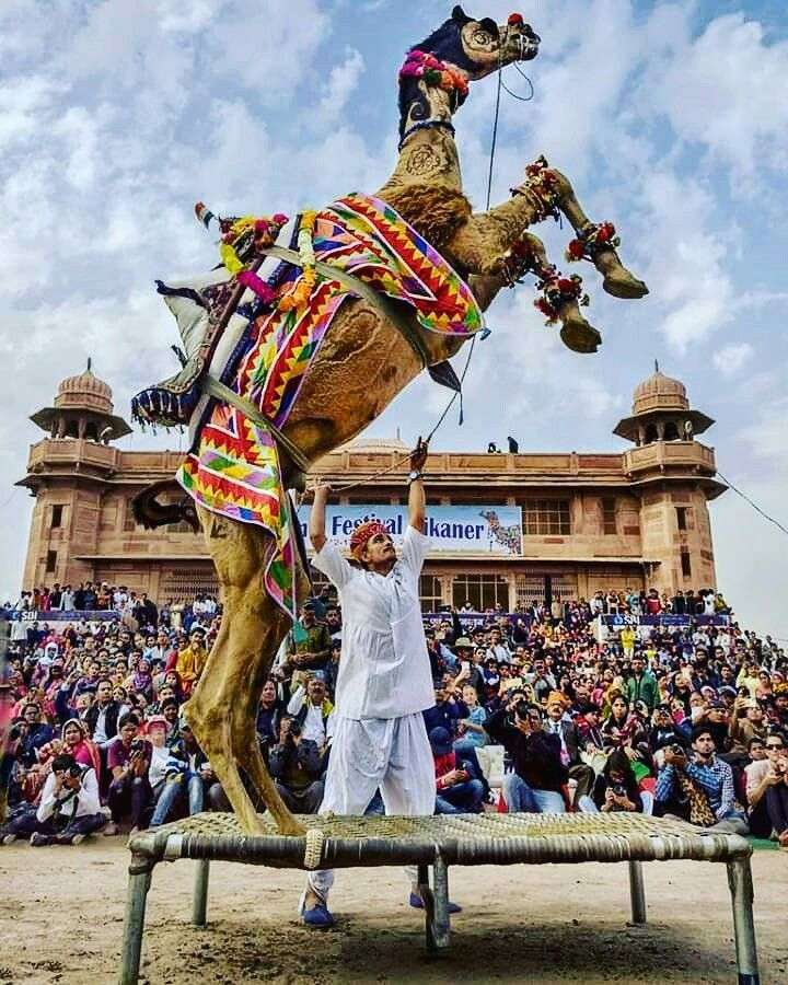 Pushkar Camel Fair 2025 Dates